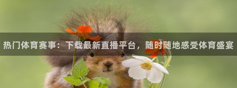 热门体育赛事：下载最新直播平台，随时随地感受体育盛宴